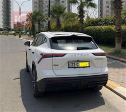 جیتۆر داشينگ